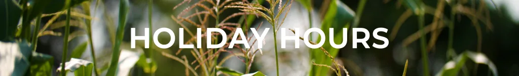 Holiday Hour